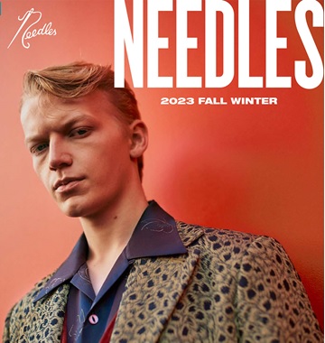 NEEDLES